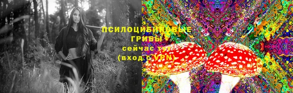 мяу мяу мука Богданович