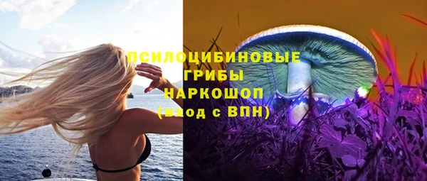 мяу мяу мука Богданович
