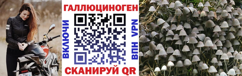 darknet официальный сайт  Череповец  Галлюциногенные грибы прущие грибы  купить наркотик 
